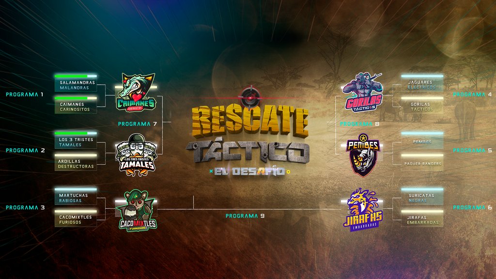 RTactico's tweet photo. Estos son los equipos clasificados a los cuartos de final. ¿Cuál es su favorito? https://t.co/YODPNqy9oB