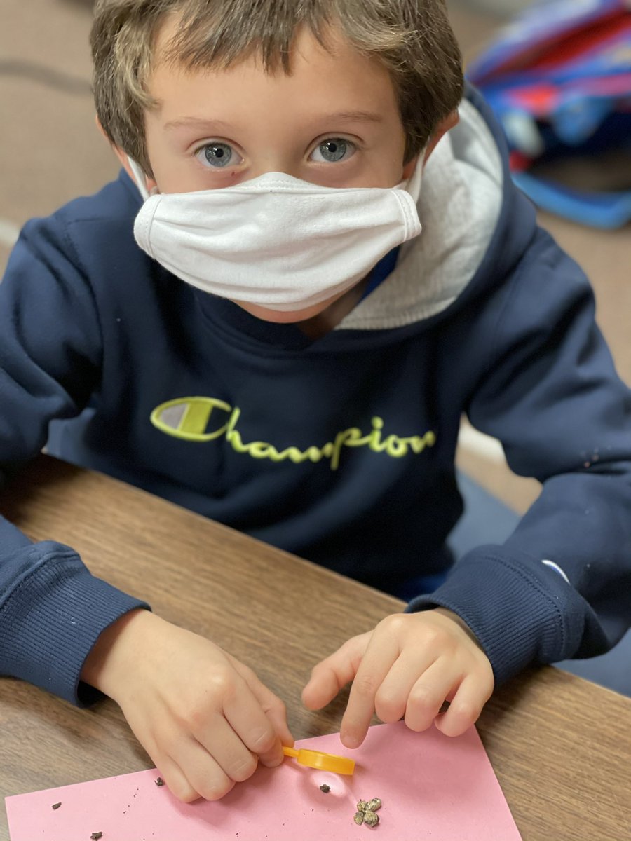 Poni3kj's tweet image. 303DCE Science Fun. Investigating and experimenting with soil. #DCE303. #CISDScienceRocks