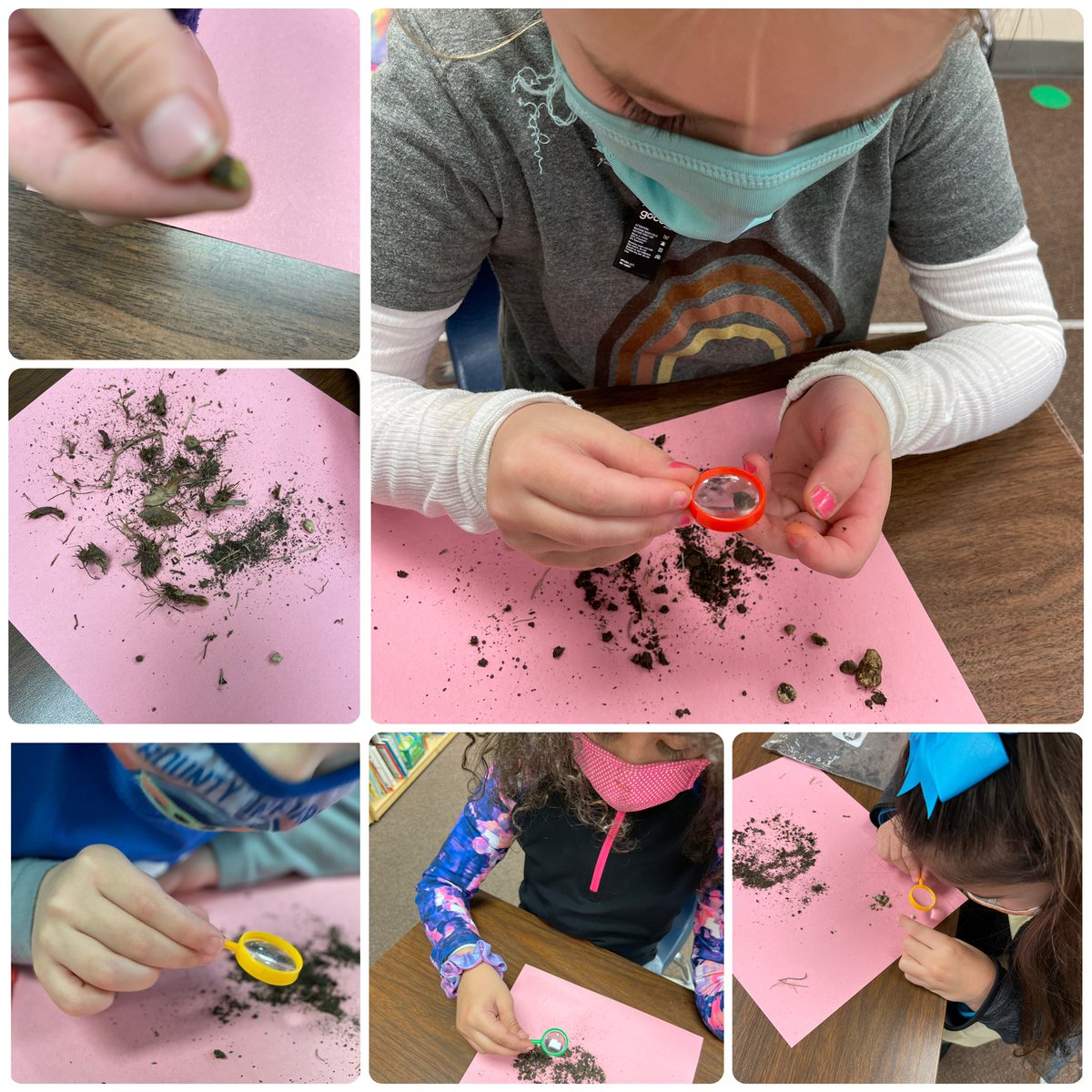 Poni3kj's tweet image. 303DCE Science Fun. Investigating and experimenting with soil. #DCE303. #CISDScienceRocks