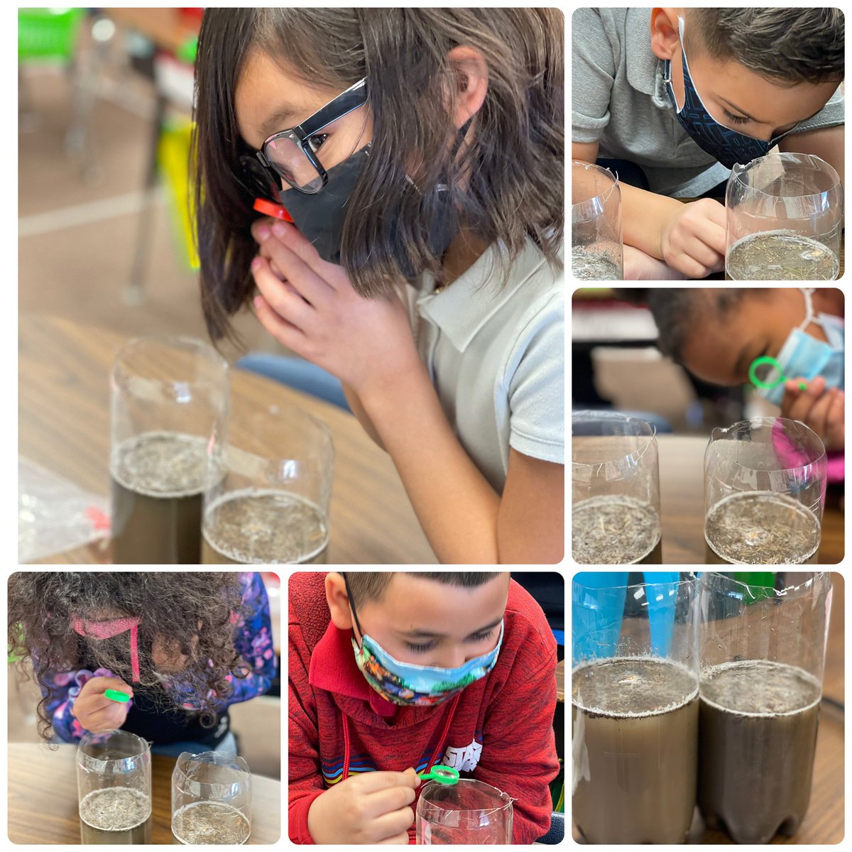 Poni3kj's tweet image. 303DCE Science Fun. Investigating and experimenting with soil. #DCE303. #CISDScienceRocks