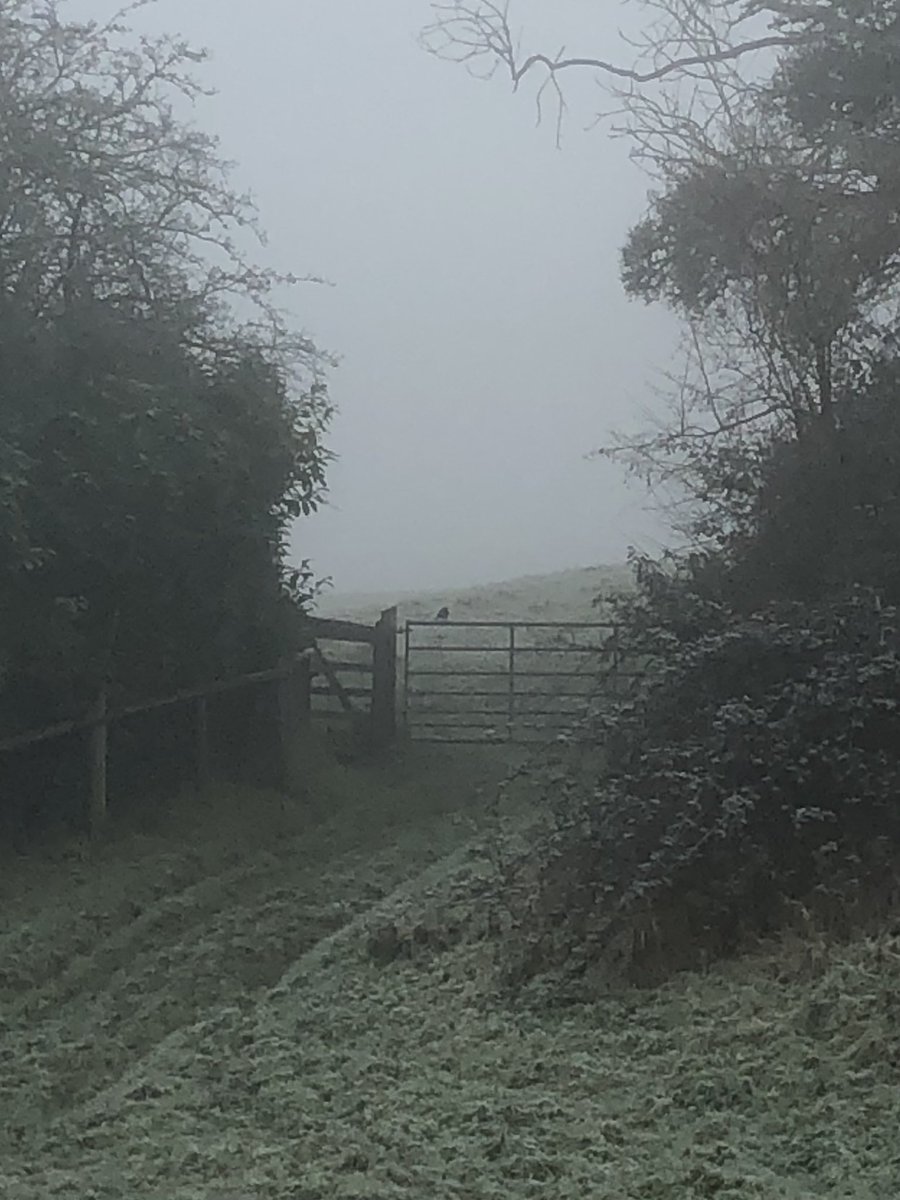 Back to spooky hollow