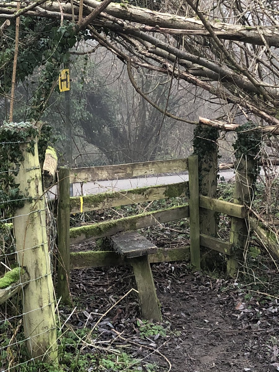 Back to spooky hollow