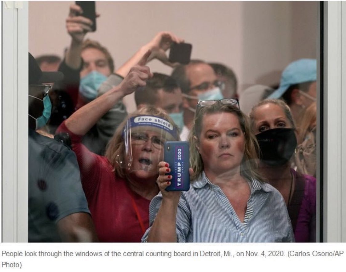 Meet Meshawn Maddock. She help organize and participated in the protests in Detroit where election officials where counting the votes. She intimidated officials and tried to stop the vote count in Detroit where the majority of voters were African American.