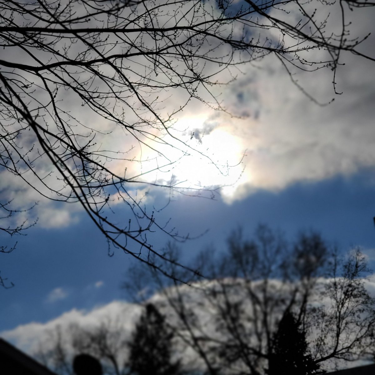 Today there is a bright fire like warmth in the sky in southeastern Michigan! First time in 2021 <a href="/3_325thAirborne/">Dan Thomas</a> <a href="/PureMichigan/">Pure Michigan</a> <a href="/ABCWorldNews/">World News Tonight</a> <a href="/DavidMuir/">David Muir</a> <a href="/Ginger_Zee/">Ginger Zee</a> <a href="/TheWeatherStn/">The Weather Station</a> <a href="/WeatherNation/">WeatherNation</a> <a href="/MLive/">MLive</a>