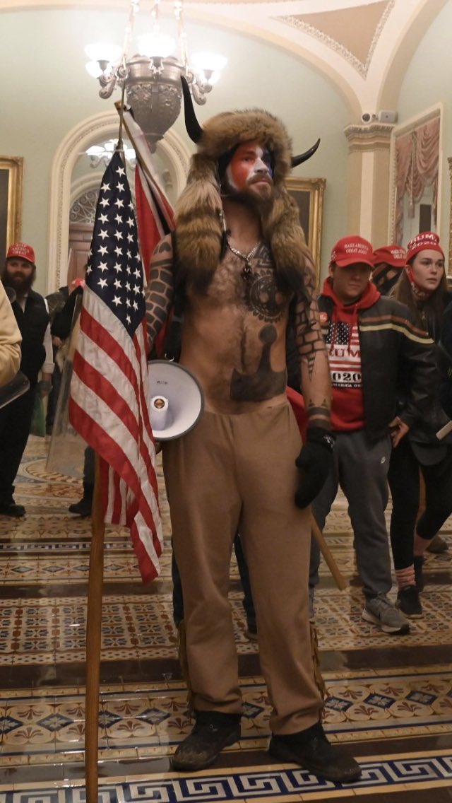 The crisis-actors: some well known like Iced Earth guitarist Jon Schaffer, the‘viking’ rioter Jake Angeli and Richard “Bigo” Barnett.