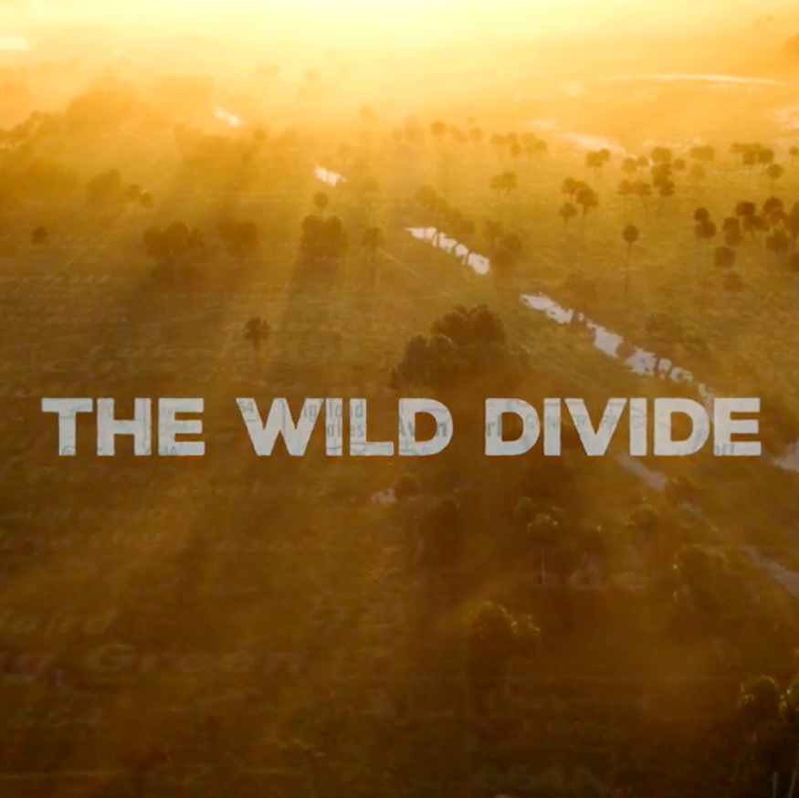 flwildcorridor's tweet photo. You can't find our film online yet, but if you're in the area January 15th, go see The Wild Divide at the #DIFFestival in their Drive-In at Highlander Park. 1.15.21 7pm Dunedin, FL 

https://t.co/wcJSC2gkNP https://t.co/92B5OsOq83