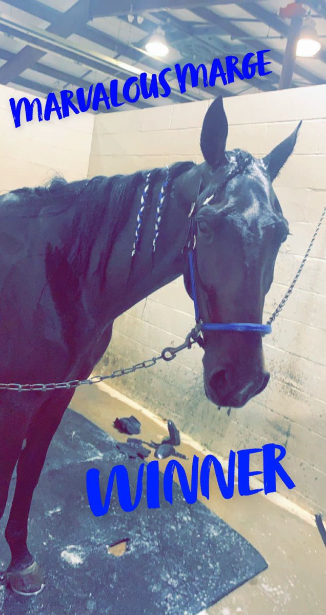 ShawStable tweet picture