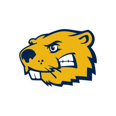 ColeHager2's tweet photo. After talking with @BVUCoachDelk and the rest of the coaching staff I’m blessed to say I have received my second offer to play college football💯💯 @DHSCoachMiller @JoeChan37320134 @twilsongog https://t.co/8a7s8GtjTj