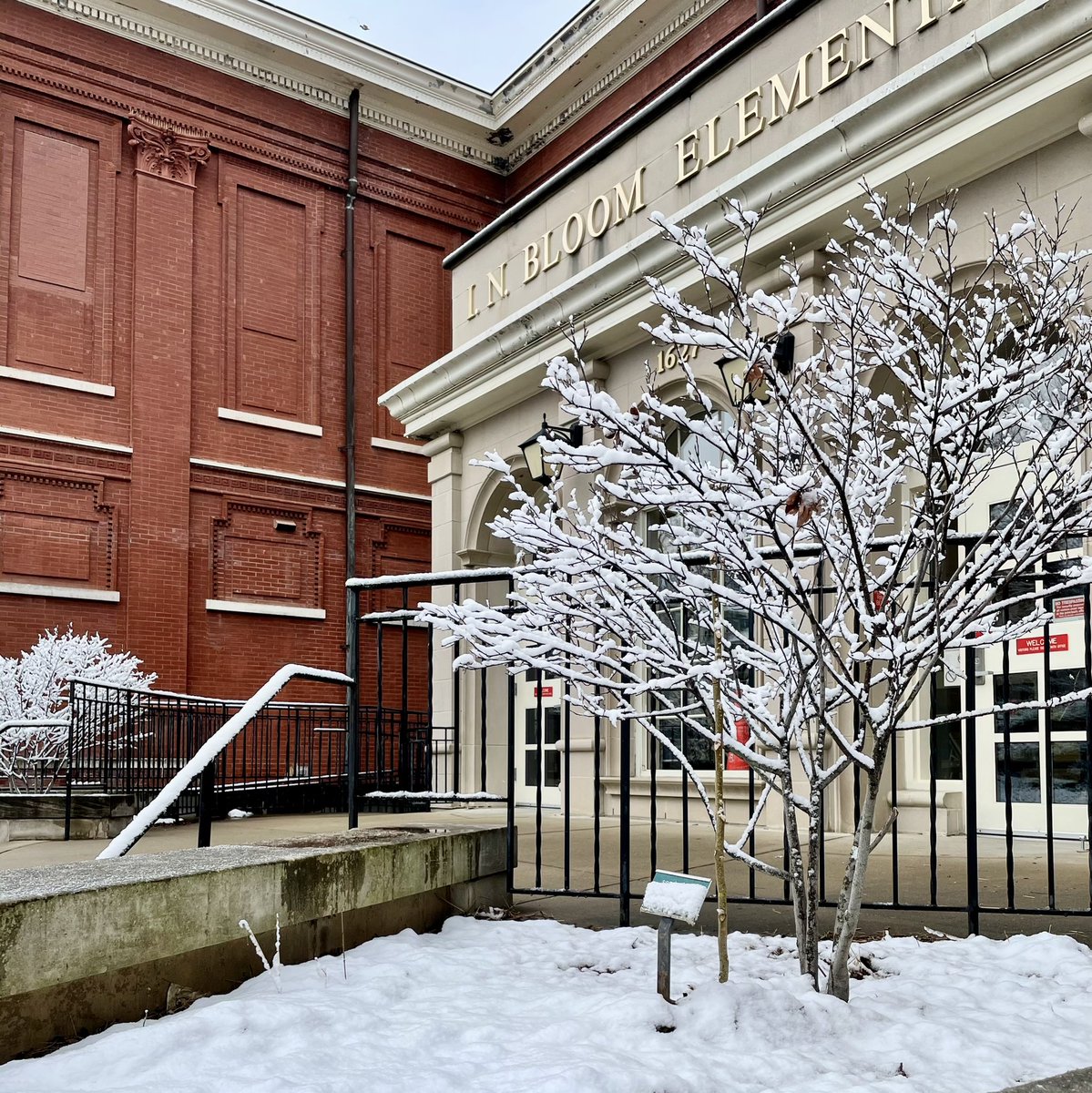 BloomBulldogs's tweet photo. A perfect snow show. #beautifulBloom https://t.co/y4o2cKK6UN