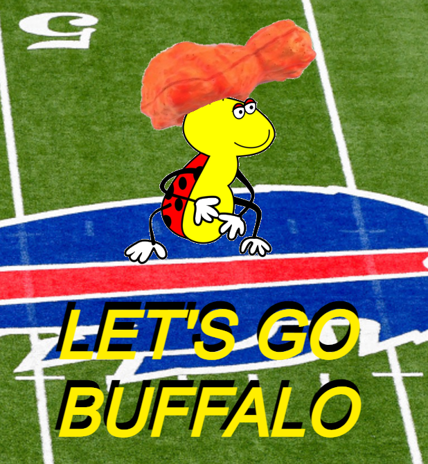BuggControl's tweet photo. LET'S GO BUFFALO!!! #NewProfilePic #GoBills https://t.co/Rs20H07OLZ