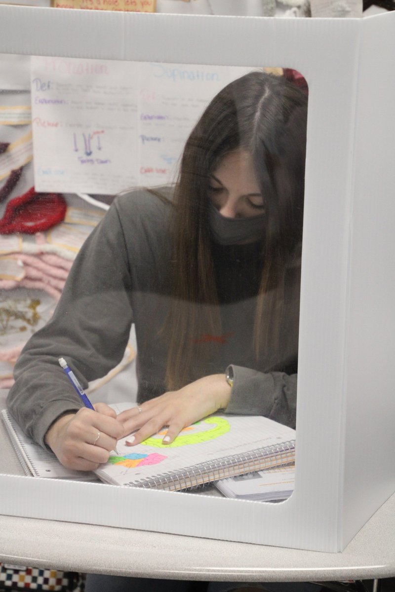 A31CareerCenter's tweet photo. Health Science students were drawing and labeling diagrams of the brain and spinal cord this week to assess their knowledge of the central nervous system.

Students interested in finding their passion and learning from innovative teachers can apply at https://t.co/HHioQLN8nI https://t.co/dcy8sV0ZsF