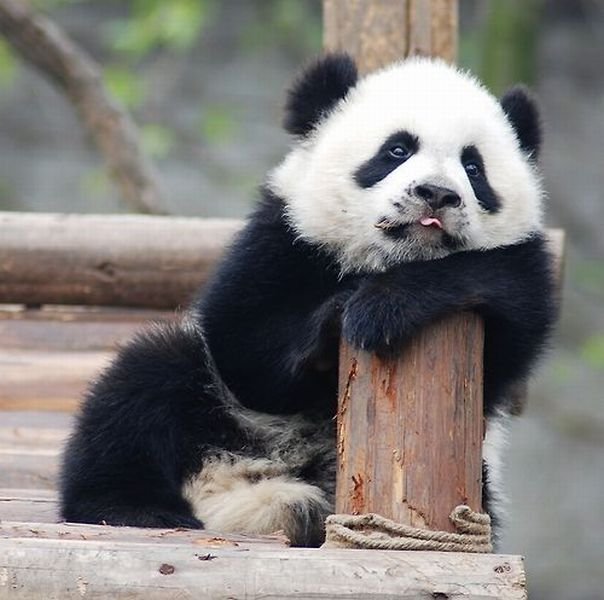 teachergoals's tweet photo. There's no tired like teaching through another crazy historical week tired. https://t.co/oP6umTJLku