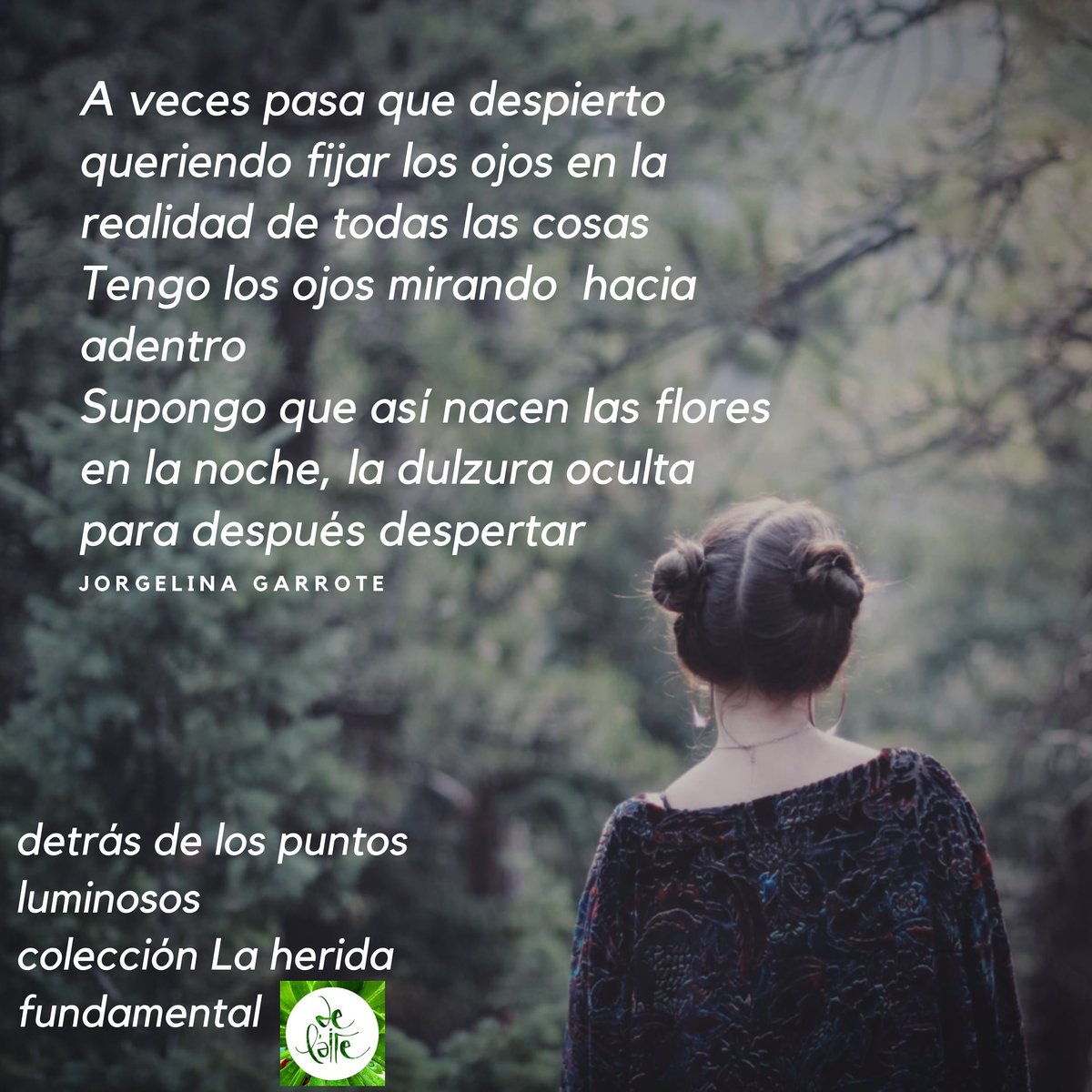 delaire_edit's tweet photo. #detrásdelospuntosluminosos #poesía #colección #coleccióndepoesía #laheridafundamental @linamir1 #poetasantafe #poetrycommunity 
.
~PREVENTA~
.
se reserva por mensaje directo a esta editorial!
.
Escribinos 
❤ https://t.co/F0qwqhcOoy
