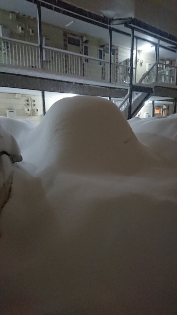 雪国の民は雪見だいふくに乗ってるのか 大雪に埋もれてしまったクルマのシルエットに驚くみなさんの反応 Togetter