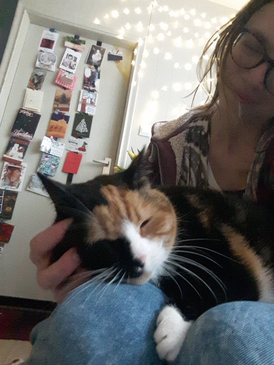 Happy Mew Year - and soooo much thank yous to <a href="/catgirl321/">Nutmeg's Crew🌻🇺🇦</a> for that touching message. Mum was crying! ❤❤❤