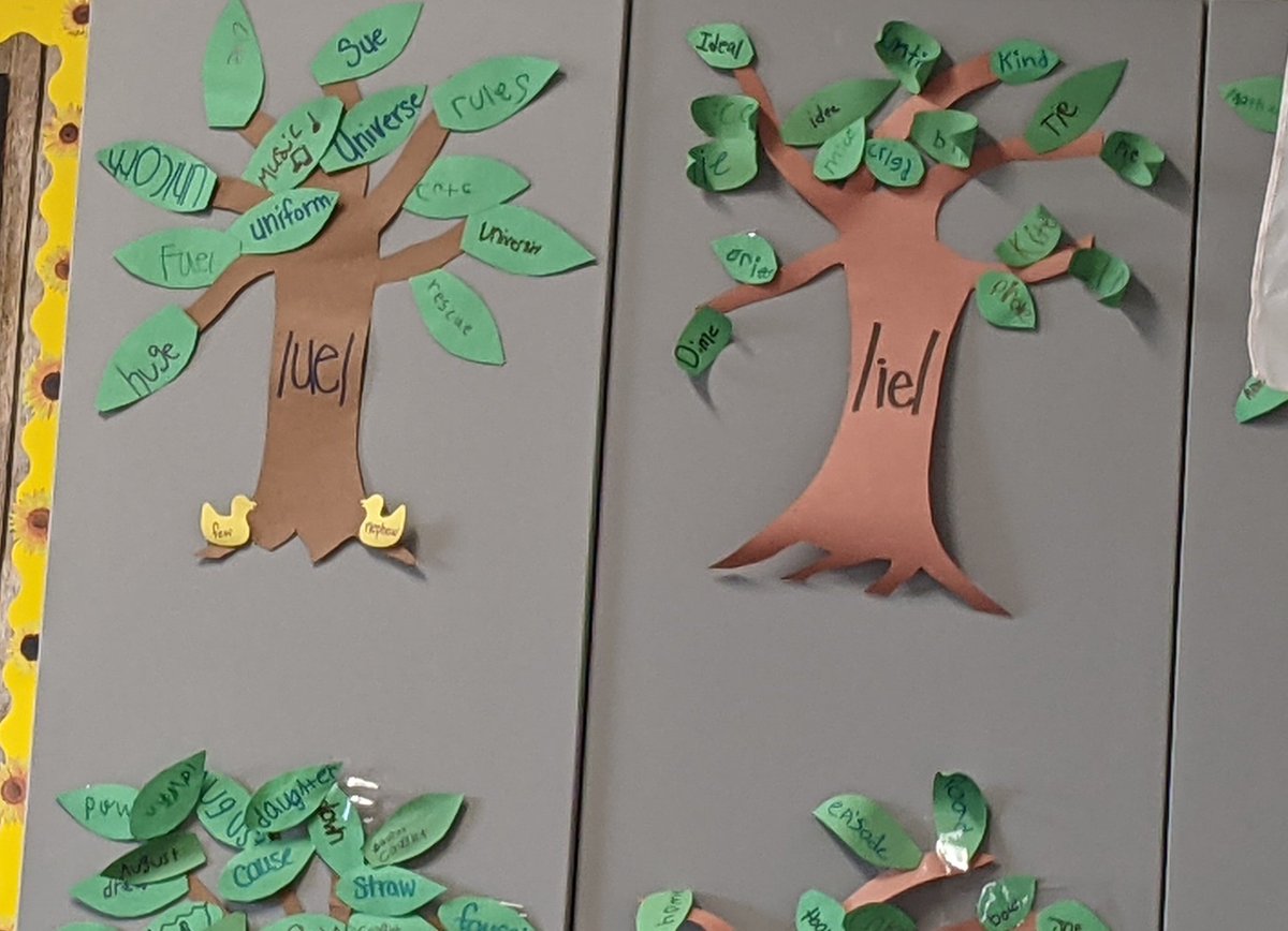 emytomita's tweet photo. 2nd grade teachers @JohnsonES_AISD are using the spelling trees to teach @amplify #skills lessons! @Garza17D @edwardsschool @KristalWashin16 @CurriculumMatrs #greatvisuals https://t.co/HDR5lhKLaH