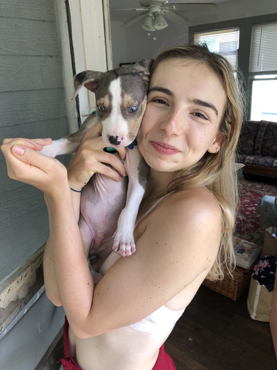 jennastoya's tweet photo. how can one puppy grow so much in three months 😭 https://t.co/KE2bKJAGBA