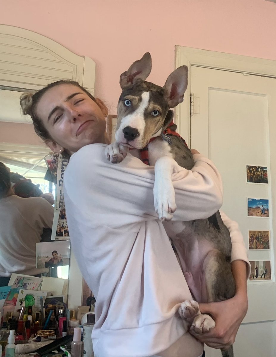jennastoya's tweet photo. how can one puppy grow so much in three months 😭 https://t.co/KE2bKJAGBA