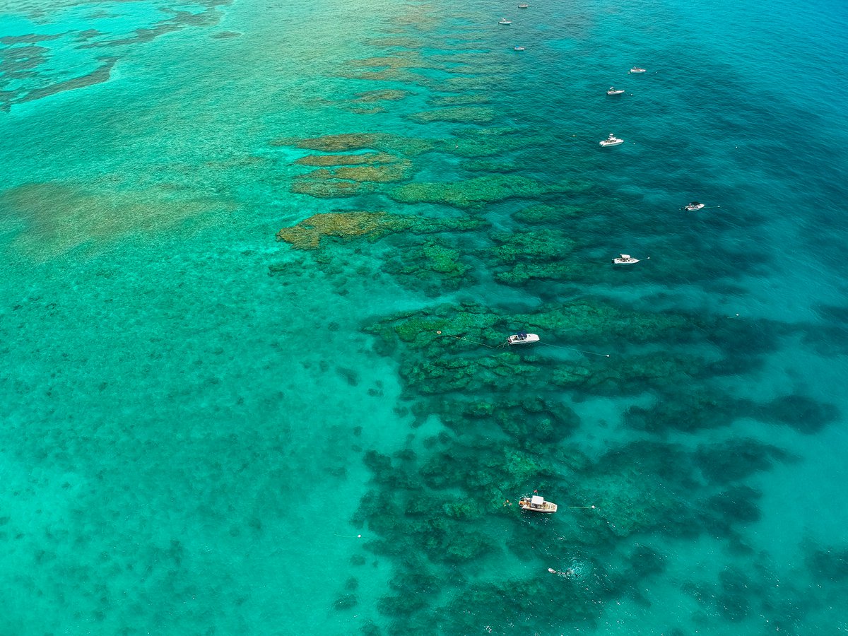 FloridaKeysNMS's tweet photo. Today marks the 40 year anniversary of when Looe Key National Marine Sanctuary was established in 1981! Later in 1990, @FloridaKeysNMS was signed into law, incorporating the preexisting Key Largo and #LooeKey sanctuaries.
Learn more: https://t.co/lUSqKzLf93
📸: Shawn Verne https://t.co/BgUxBR5wvY