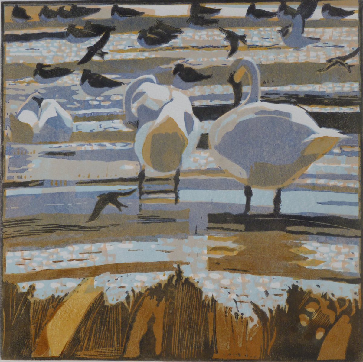 ryeartists's tweet photo. The final post from our artist of the week Robert Greenhalf focuses on his woodcuts -
Late September, Oystercatchers, Rye Harbour , Flowing Tide, Blackbird and Apple. #ryeartists #robertgreenhalf #woodcuts #birds #ryeharbour https://t.co/PqtqcCAcJ0