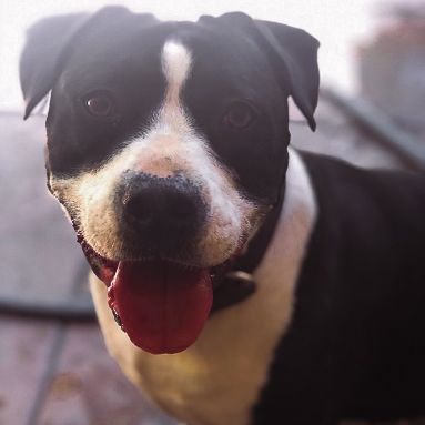 This week we have a #facultyshoutout to Dr. Jim Owens, Professor of Finance &amp; Hodges Professor of Corporate Governance! 👏 Read about Dr. Owens on our Facebook page buff.ly/3numNmG
.
.
. 
#GetToKnowYourFaculty
#wtamucob
#EnglerCOBfaculty