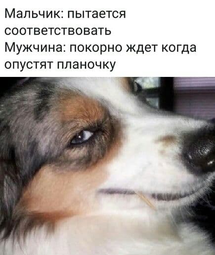 mrBasanec's tweet photo. https://t.co/BWQVpTg58g