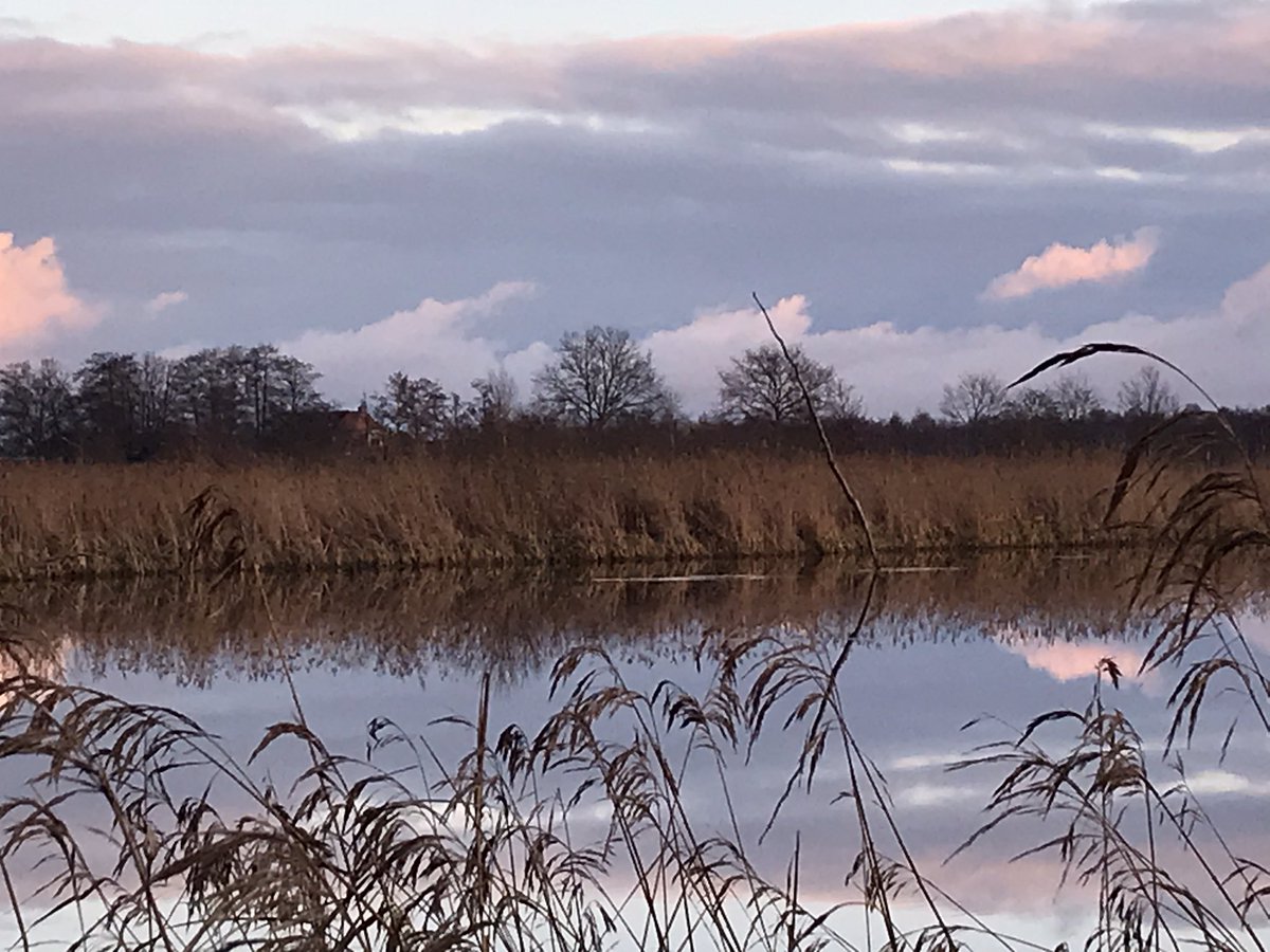 debvkor's tweet photo. Heerlijk om zo de week af te sluiten met een frisse wandeling in de Alde Feanen https://t.co/bZwNGCYhJZ