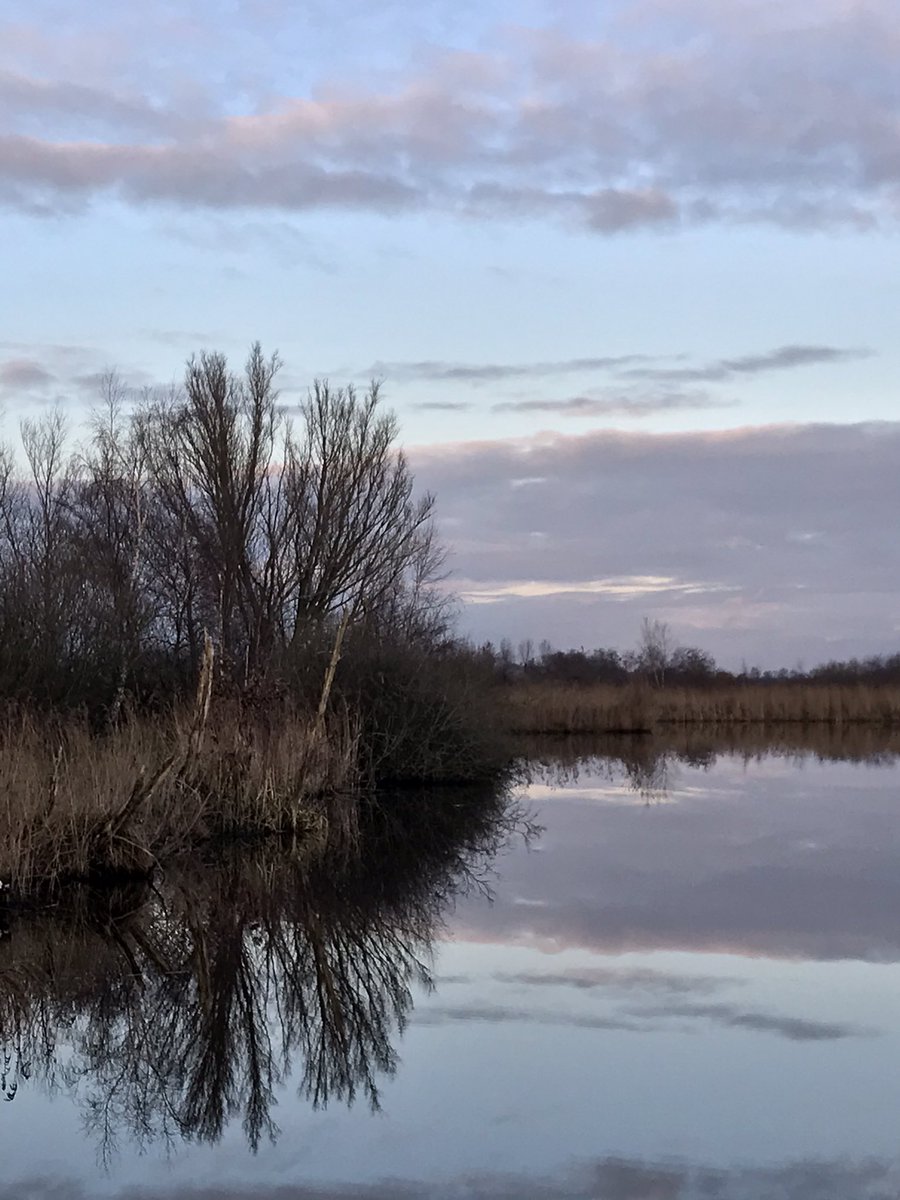 debvkor's tweet photo. Heerlijk om zo de week af te sluiten met een frisse wandeling in de Alde Feanen https://t.co/bZwNGCYhJZ