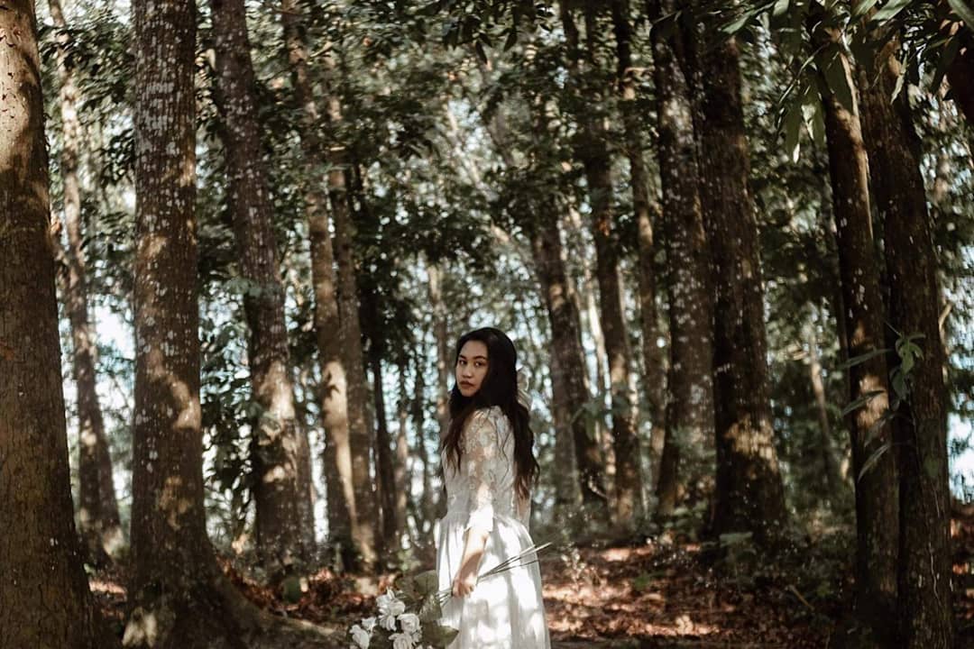 shai064's tweet photo. lost fairy in the woods 🍂🦋 https://t.co/CeIeF4sevO