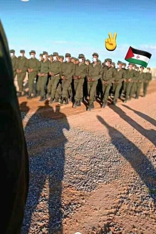 najibah1988's tweet photo. تخرج وحدات #عسكرية #صحراوية جديدة من المتطوعين #الشباب للإلتحاق بجبهات #القتال الأمامية في صفوف #الجيش_الشعبي_الصحراوي🇪🇭 https://t.co/EzvaOkbRah