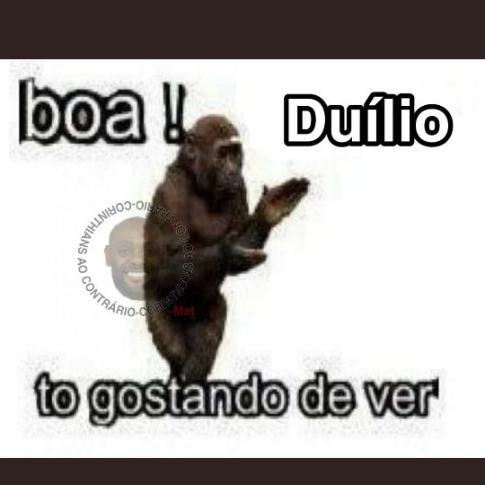 Bera (@jota_bera) on Twitter photo 