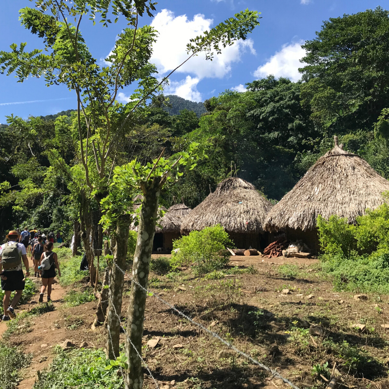 AdventurousEwe's tweet photo. Check out the new blog on our 11 Sustainable Tourism Endeavours with our brand new Explore Colombia & The Lost City Trek.
#FridayReads #sustainabletravel #Colombia #VisitColombia #adventuretravel #ewecandoit
https://t.co/DN2tvaCKGQ https://t.co/up9pDCMRak