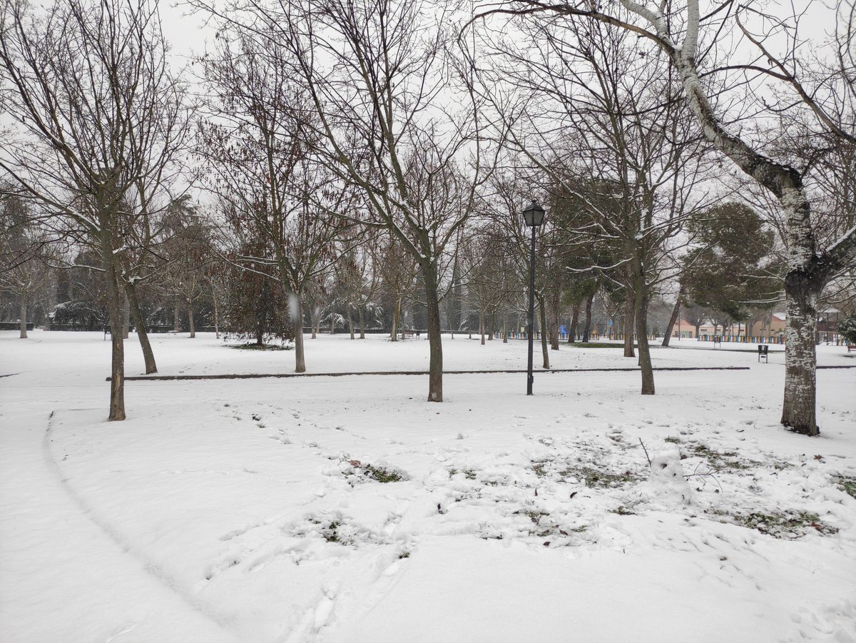 Pradolongo se Mueve tweet media