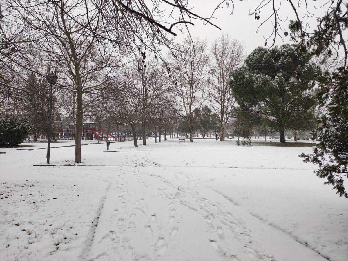 Pradolongo se Mueve tweet media