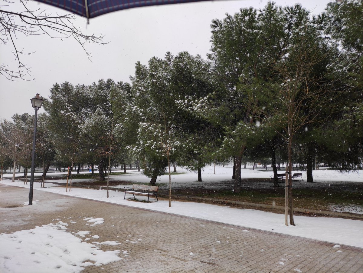 Pradolongo se Mueve tweet media