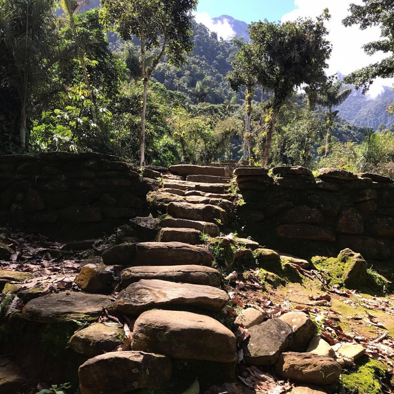 AdventurousEwe's tweet photo. Check out the new blog on our 11 Sustainable Tourism Endeavours with our brand new Explore Colombia & The Lost City Trek.
#FridayReads #sustainabletravel #Colombia #VisitColombia #adventuretravel #ewecandoit
https://t.co/DN2tvaCKGQ https://t.co/up9pDCMRak