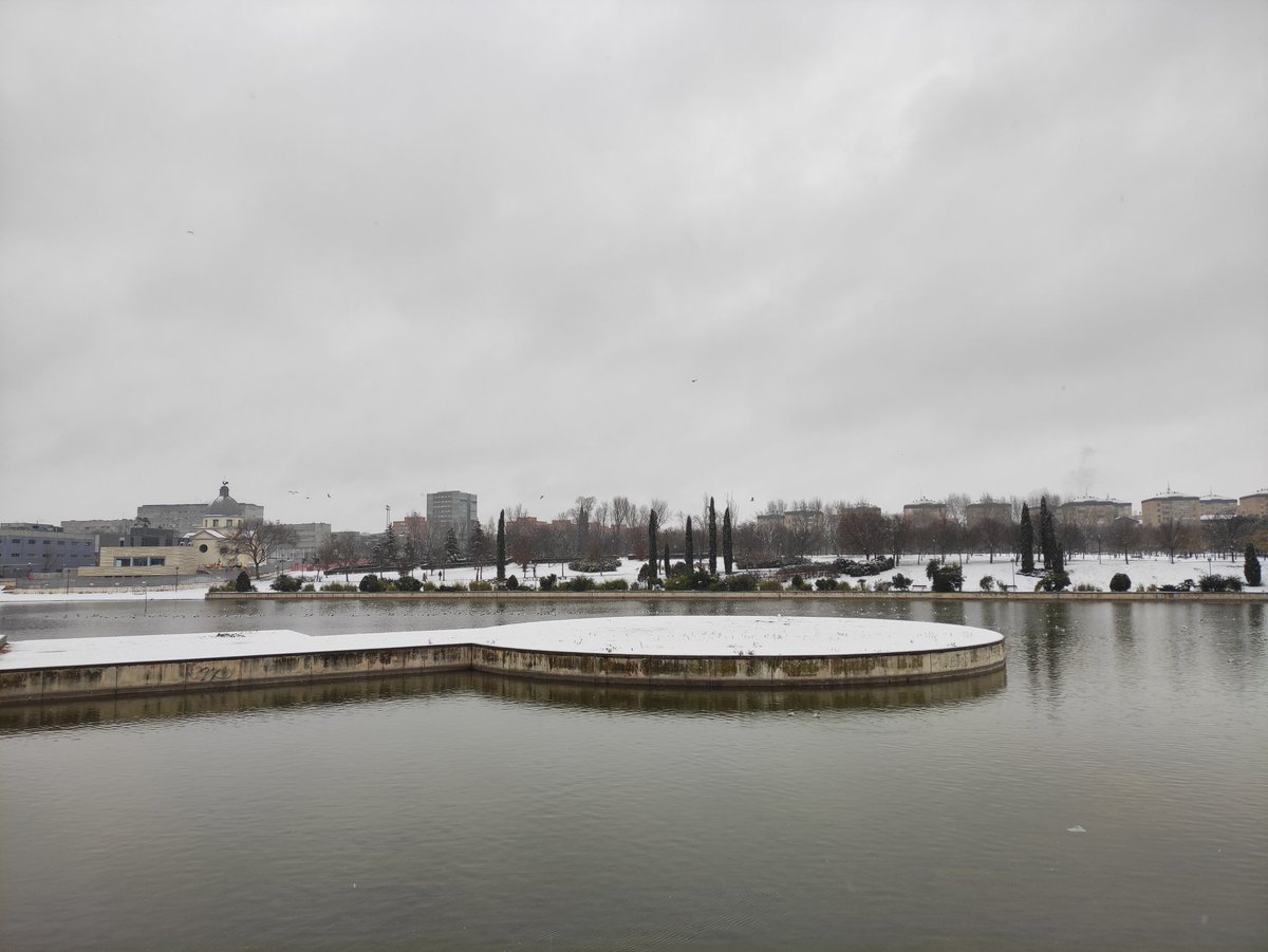 Pradolongo se Mueve tweet media