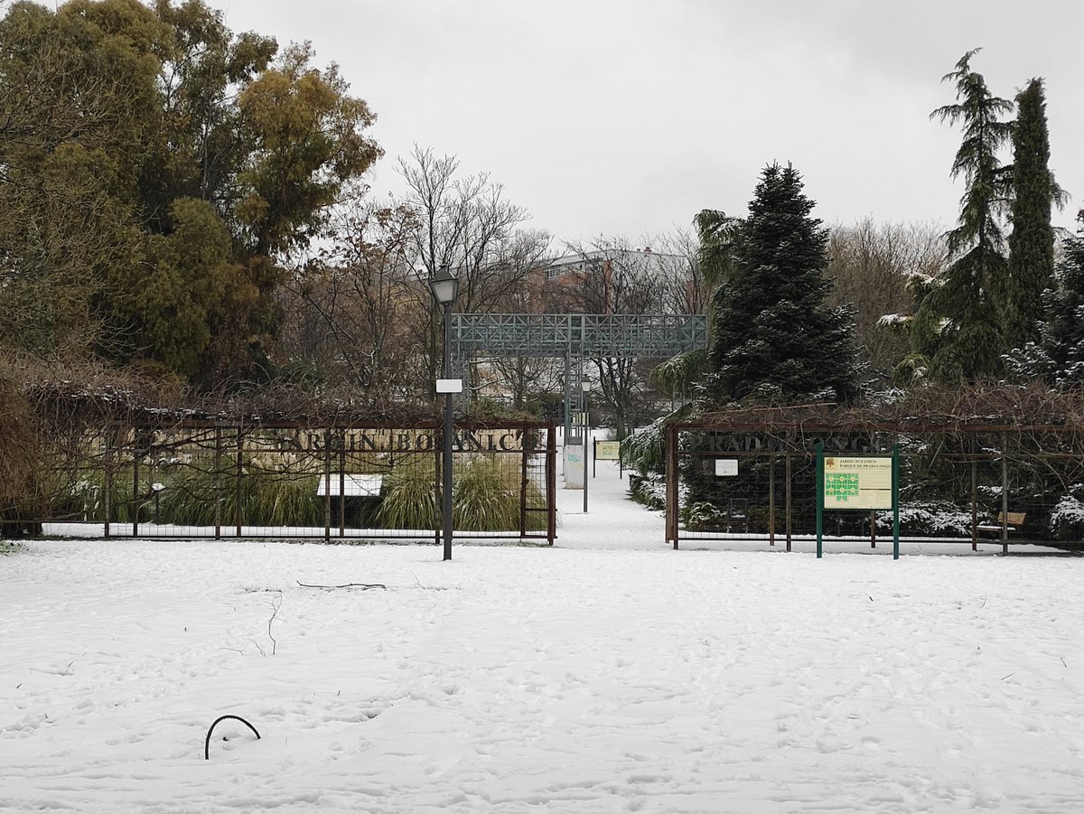 Pradolongo se Mueve tweet media