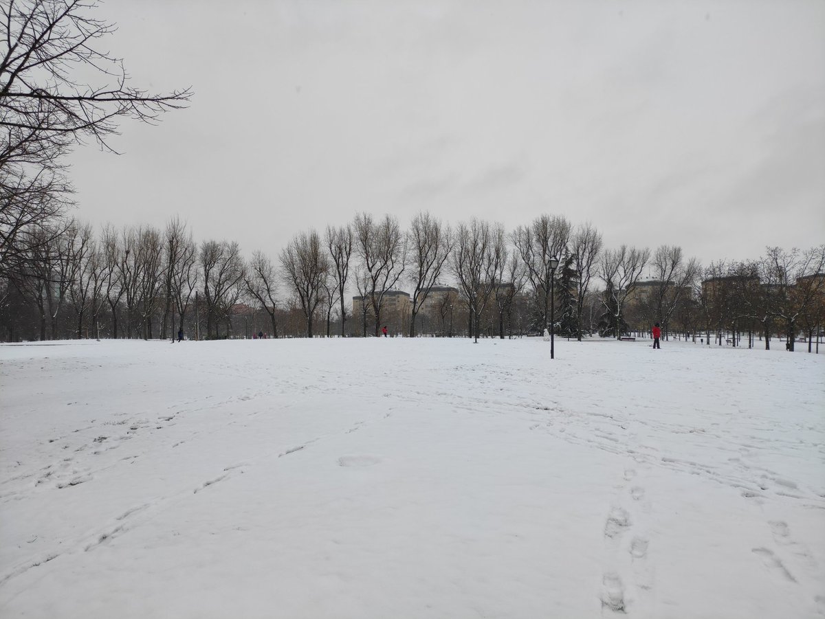 Pradolongo se Mueve tweet media