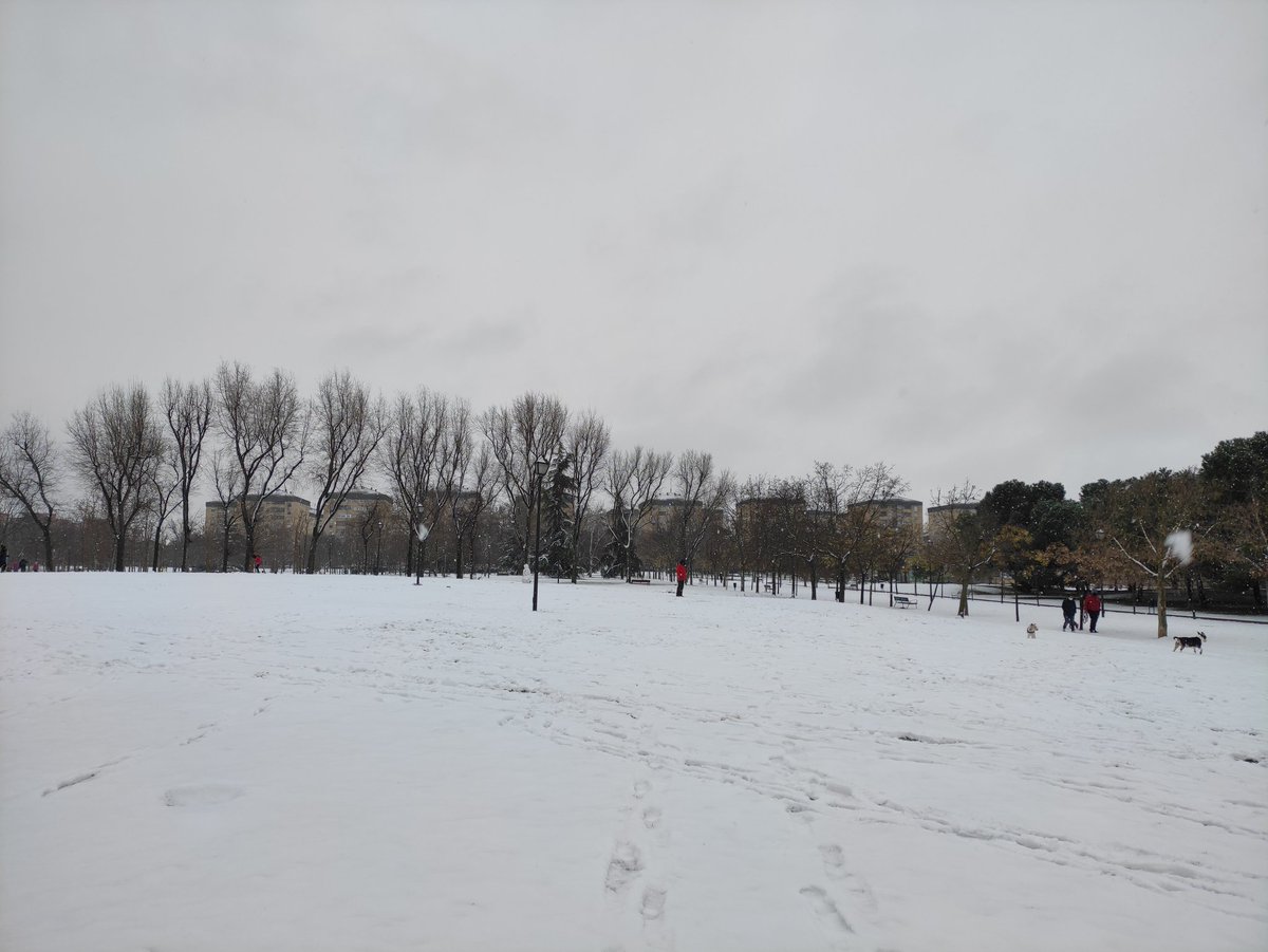 Pradolongo se Mueve tweet media