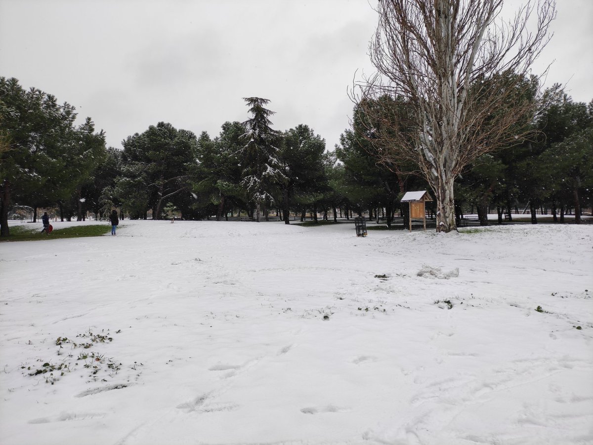 Pradolongo se Mueve tweet media