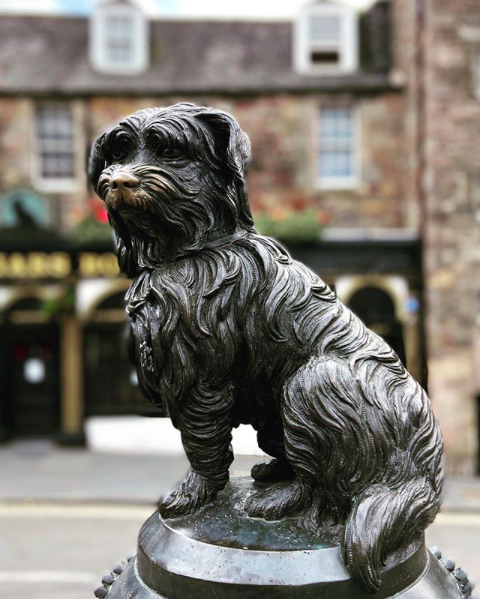 DickinsEdin's tweet photo. On this day, in 1872, Edinburgh's most famous pooch passed away - Greyfriars Bobby.
The Skye Terrier is said to have spent 14 years tending his master's grave in Greyfriars kirkyard in Edinburgh.
#dickinsloves #weknowedinburgh #OTD #Edinburgh #EdinburghForever https://t.co/EC07pxehbN