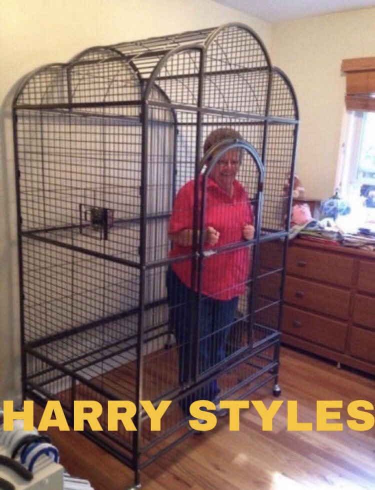 Itslouie4w's tweet photo. carrots subindo a tag #SaveHarryStyles - uma trend para rir.
ib: @dontworrylt https://t.co/eHF9xRjA7c