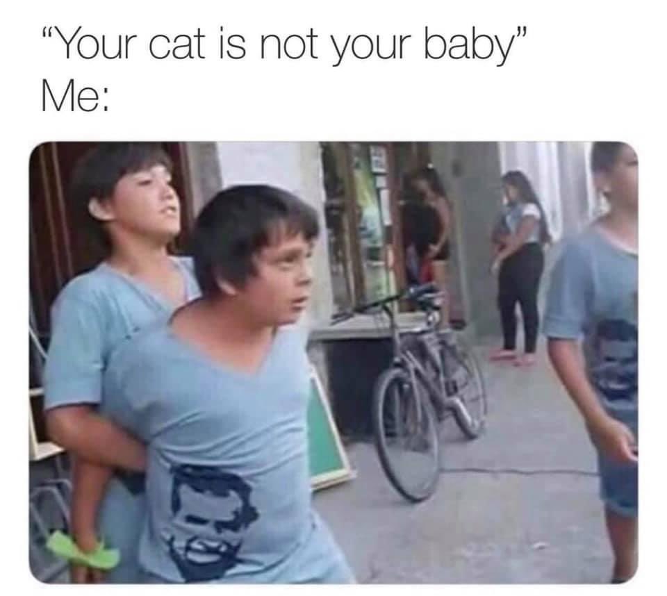 Katelyn Eller (@Katelynnn97) / Posts / X, image size:960x858