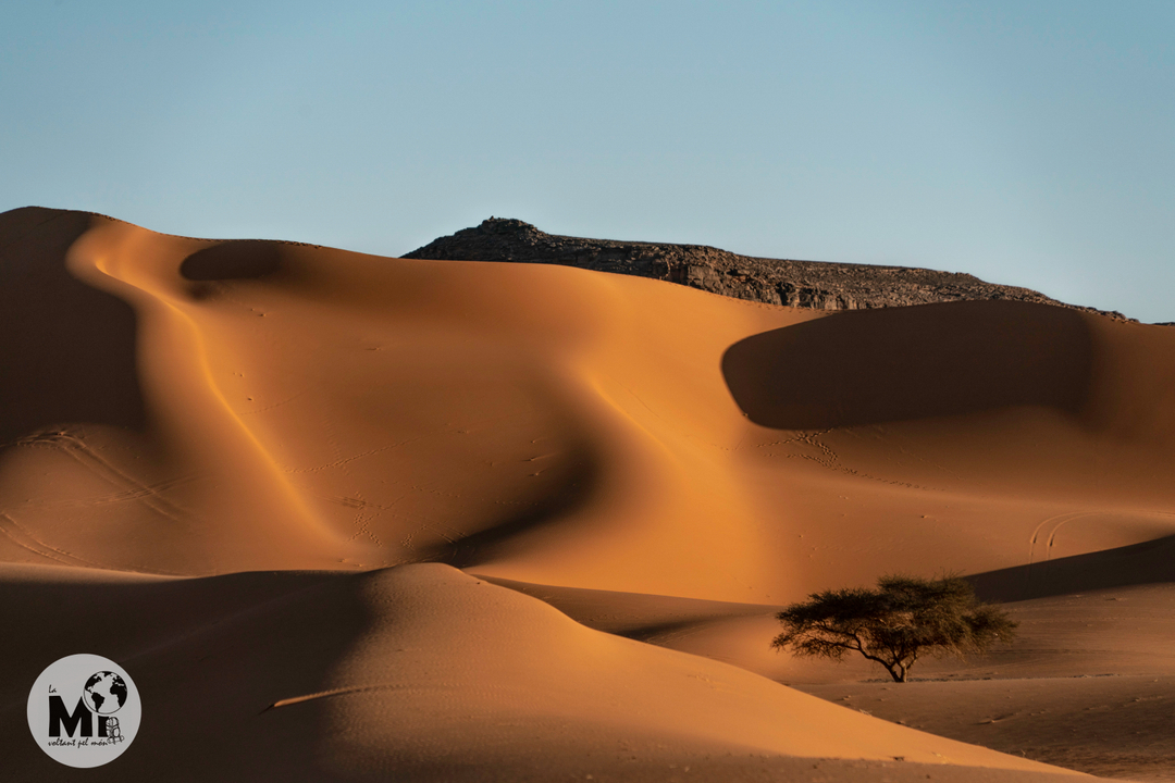 I el final de tot el procés d'erosió és la finíssima sorra de color daurat que llueix sota el sol de la tarda, amb les suaus corves que crea el vent moldejant dunes que capten la nostra vista. Però tot i així, les acàcies segueixen resistint a aquestes dures condicions, am