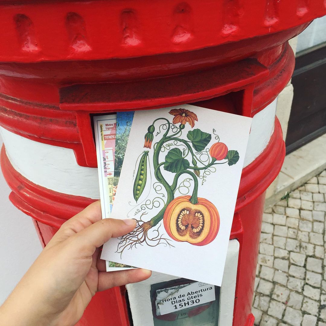 scraps_kc's tweet image. Check out the fun and unique letters sent around the world. #universalletterwritingweek
@Postcrossing