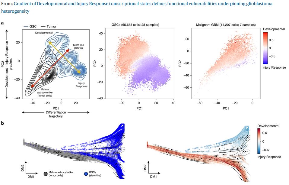 Nature Cancer tweet media