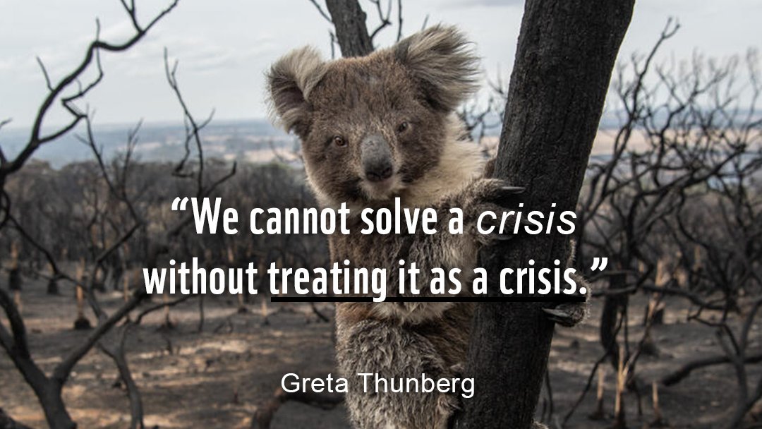🌍In order to build back better, we must recognise that our planet is facing a crisis 🔥 The more people we make aware, the more we can effect change. Are you with us? RT to share. #ClimateCrisis