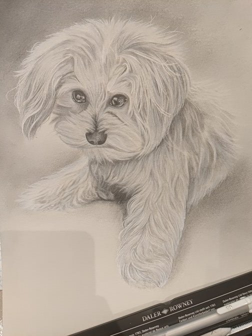TheaWilsher's tweet photo. My latest commission in progress, only a little more to go
Little Ziggy is a rescue pup and was found on the side of a highway. Luckily she was rescued by a wonderful friend of mine, who this portrait is for
#art #drawing #Rescue #dogs #petportrait
 @cctip_io airdrop .001 ETH 150 https://t.co/TpB53Vw35P