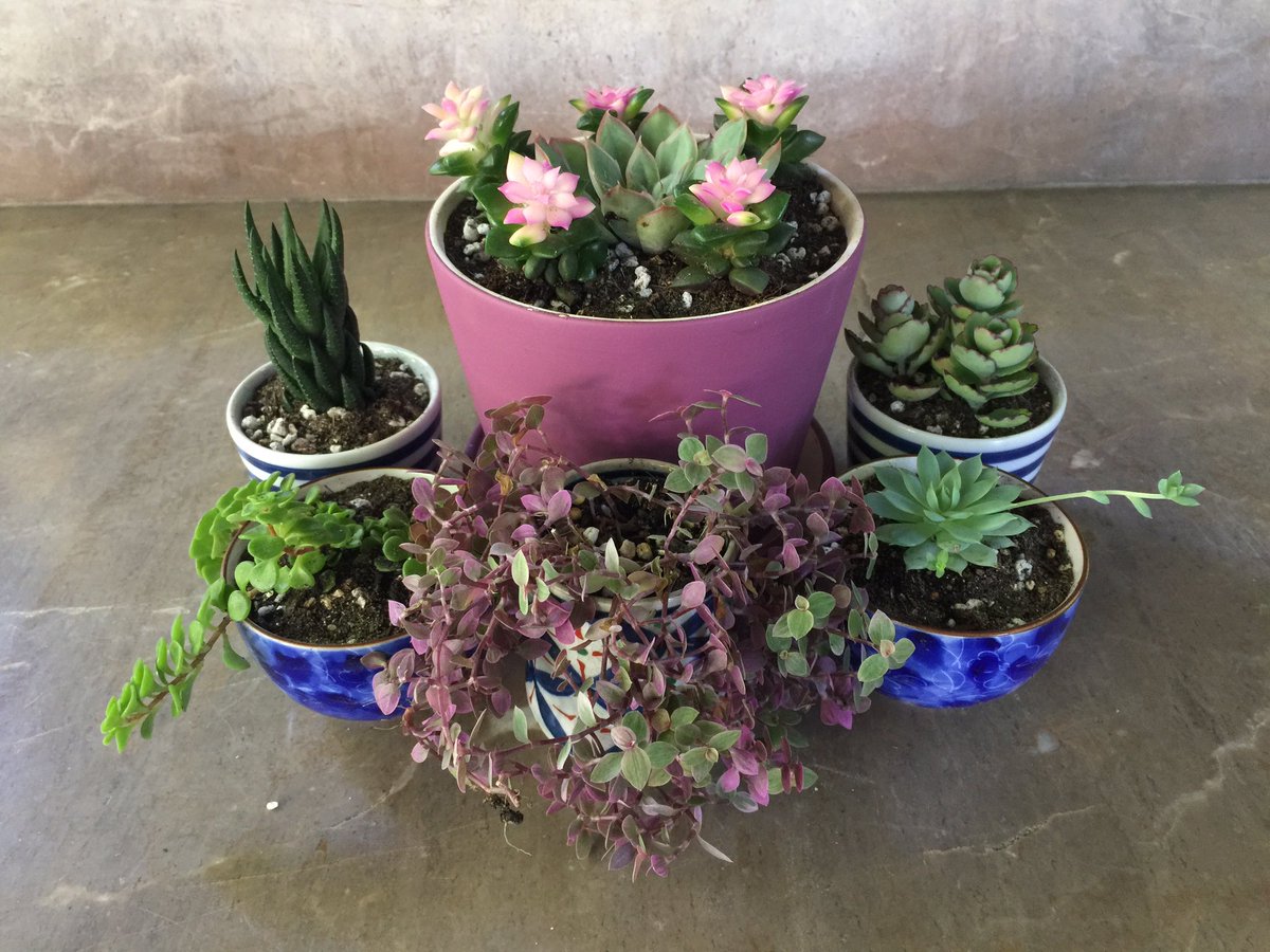 Patrin Watanatada ภัทริน วัธนธาดา tweet media